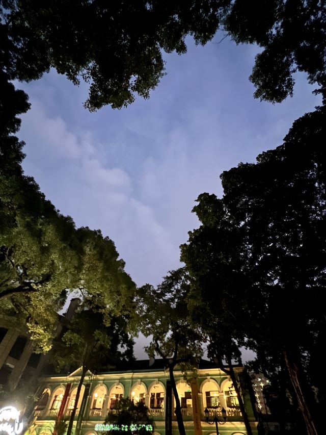 沙面旅游区旅行图片 2
