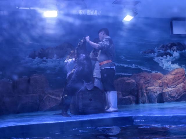 南京欢乐谷旅行图片 2