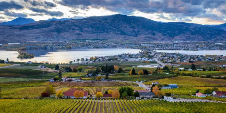 夏丘金字塔酒莊