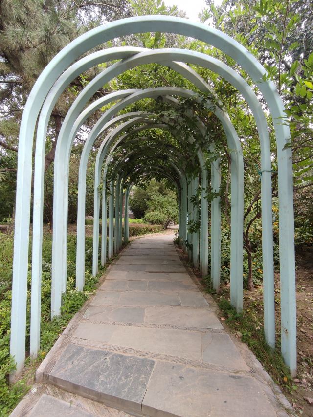 柳荫公园旅行图片 12
