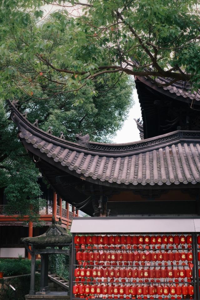 头陀寺旅行图片 4