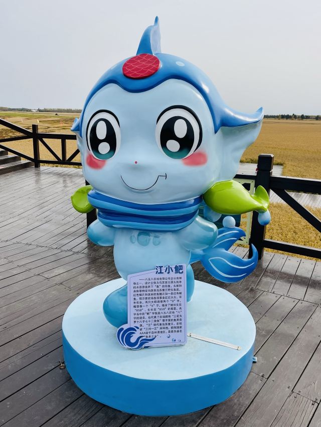 八五八农场千岛林稻田画旅行图片 4