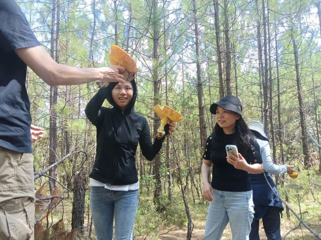 九仙峰民族神山观景台旅行图片 5