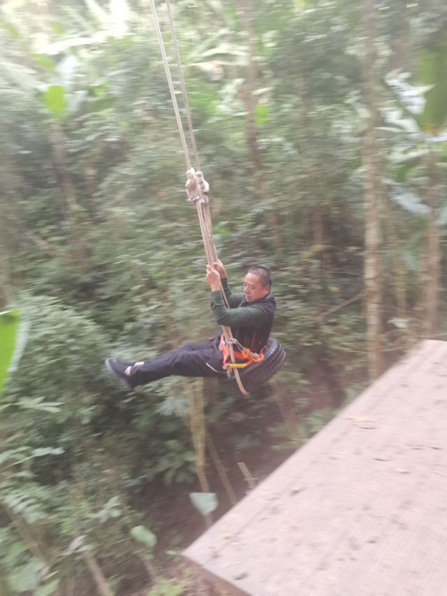 基诺山达娘雨林徒步旅行图片 3