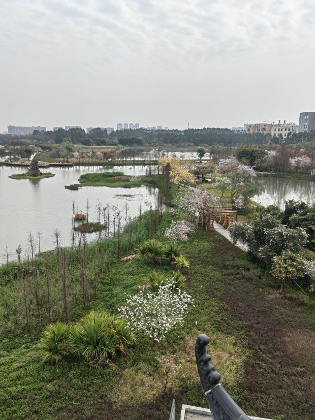 华阳湖国家湿地公园旅行图片 11