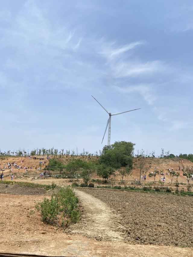 雨花石地质公园旅行图片 5