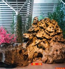 柳州奇石馆-柳州-帝国统帅66