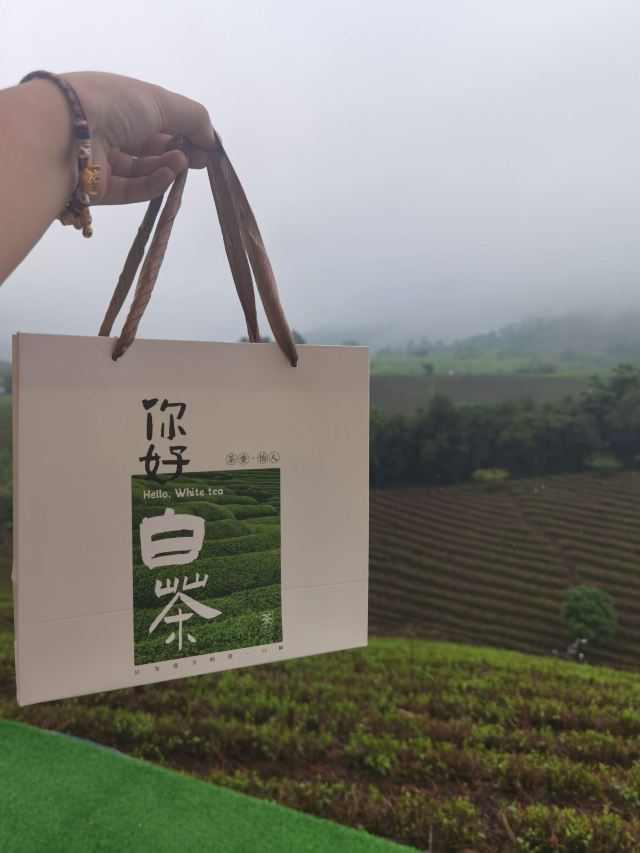 白茶原·安吉白茶观景平台旅行图片 1