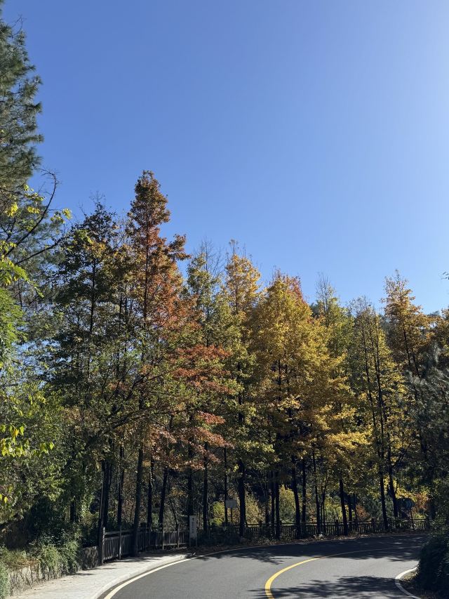 黄兴公园旅行图片 1