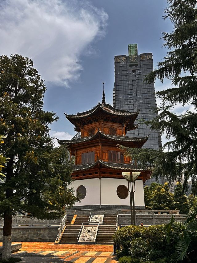 东湖公园旅行图片 1