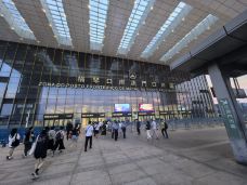 横琴口岸-珠海-金陵野生导游