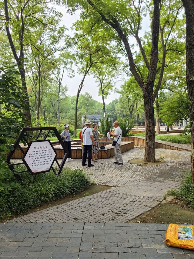 凤凰山公园旅行图片 11