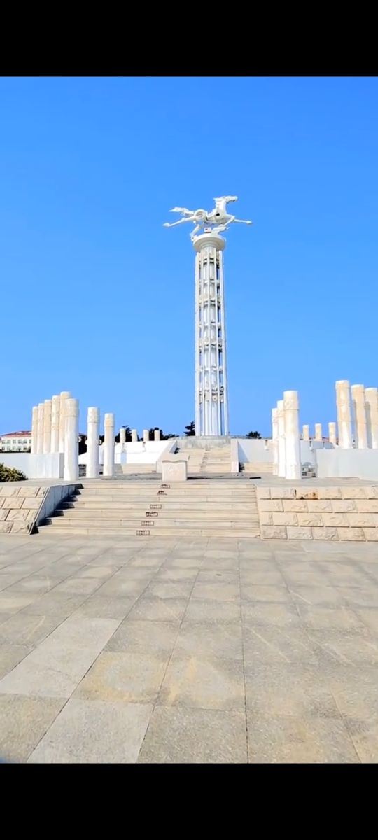 养马岛林间花海旅行图片 2