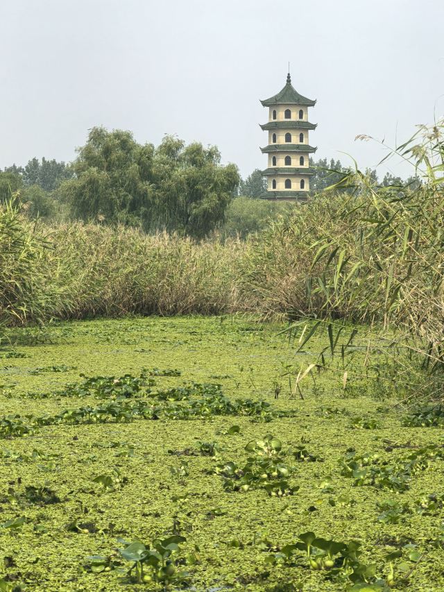 大纵湖旅游度假区旅行图片 2