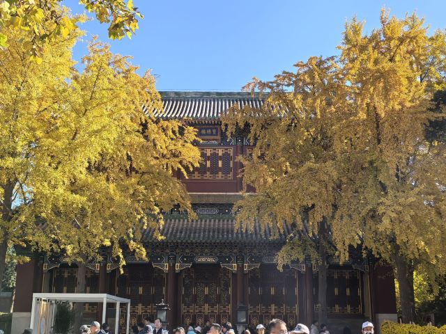 北海公园旅行图片 7