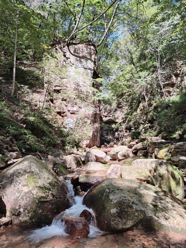 朱雀山国家森林公园旅行图片 3