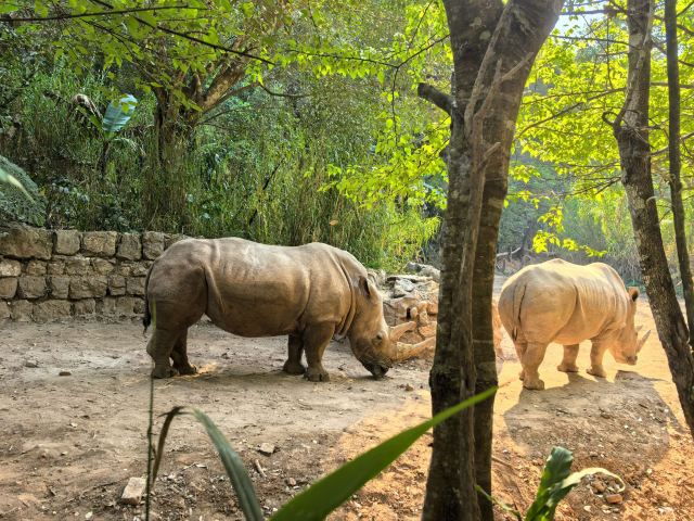 普洱国家公园犀牛坪景区旅行图片 3