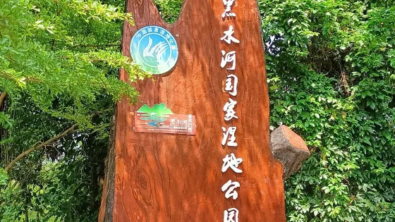 廣西大新黑水河國家濕地公園