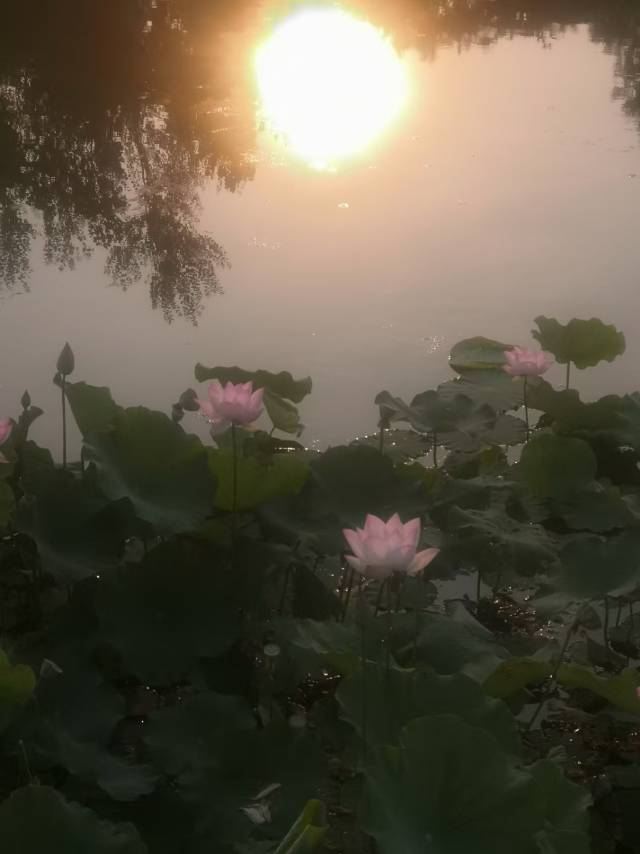 左右山谷亲子度假区(暂停开放)旅行图片 2