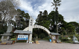 唐船峡流水素面