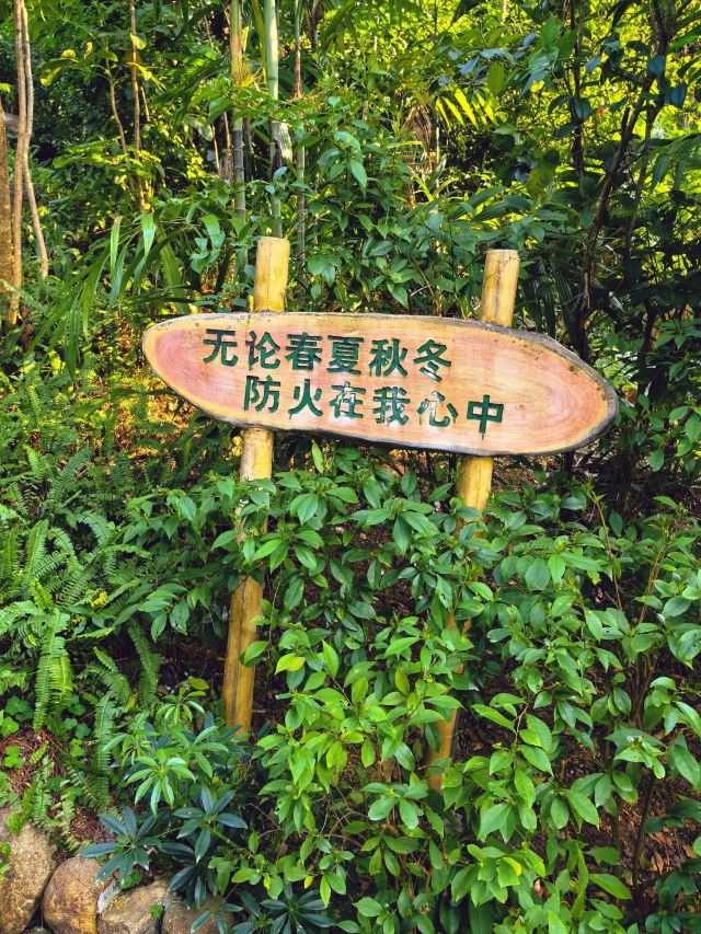 仙岳公园旅行图片 3