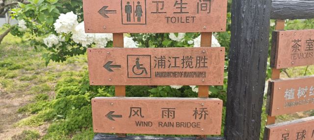 上海共青森林公园旅行图片 1