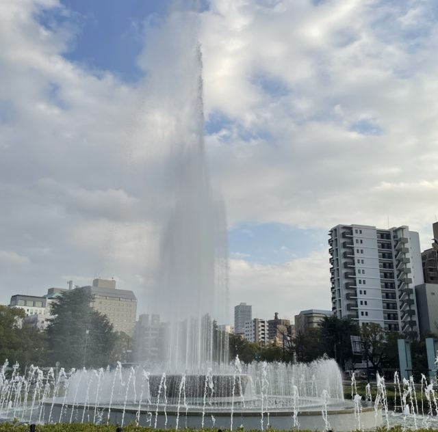和平公园旅行图片 1