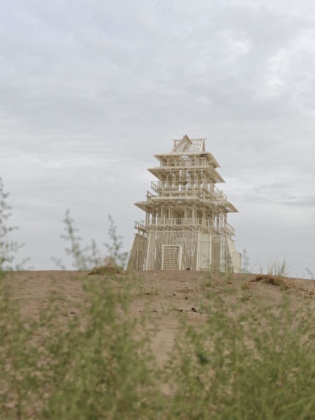 沙漠雕塑公园旅行图片 14