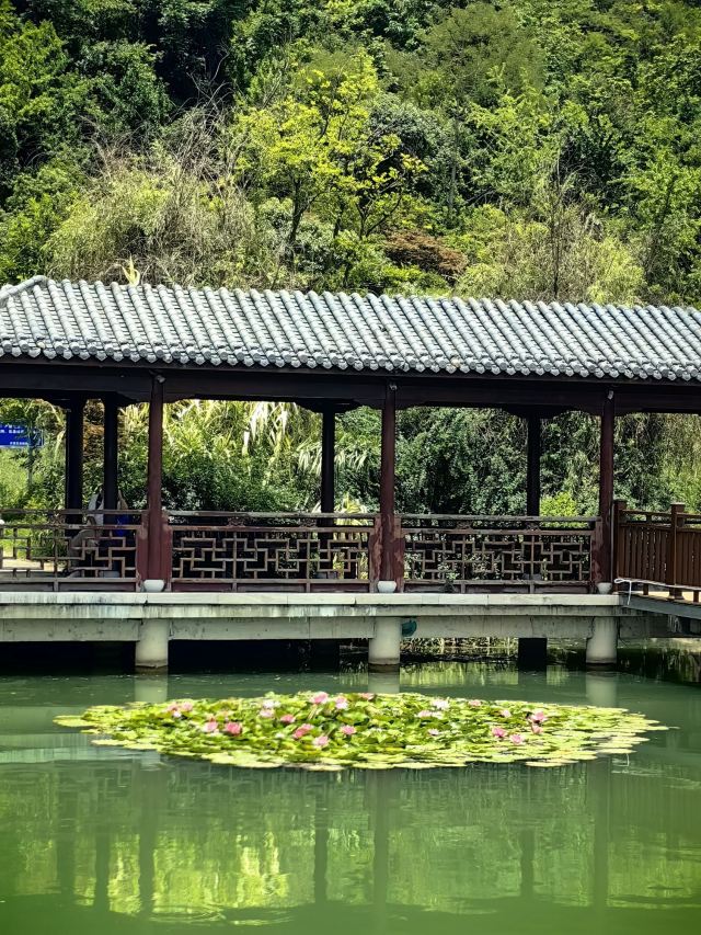 安顺娄湖生态公园旅行图片 4