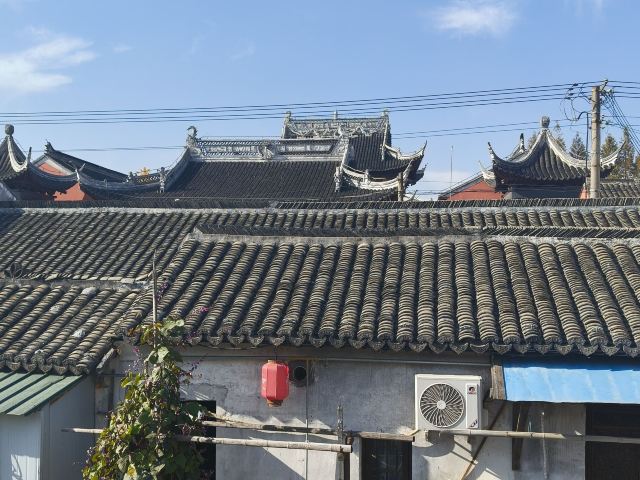 枫泾古镇旅行图片 1