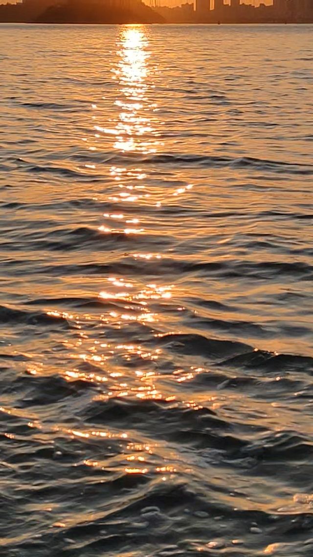 海湾公园旅行图片 4