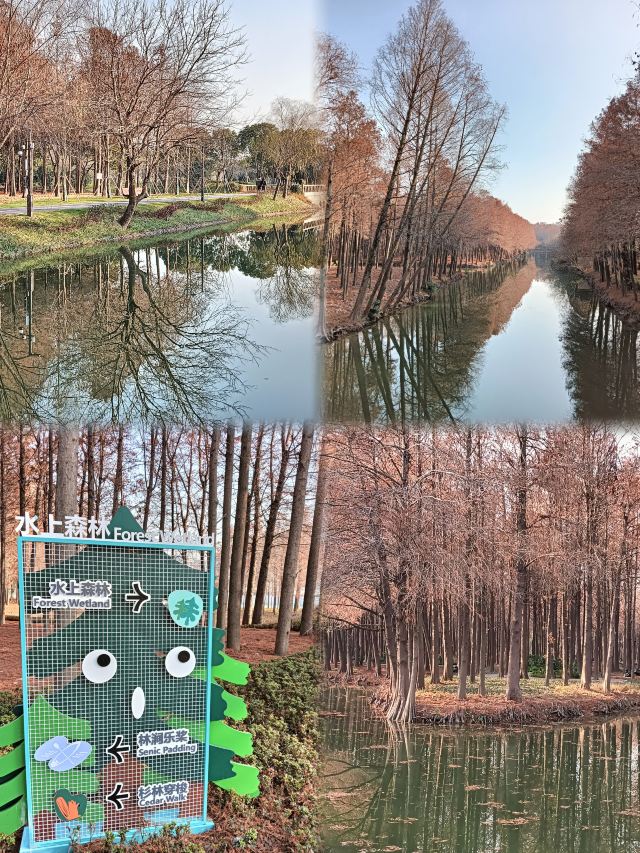 横沔公园旅行图片 2