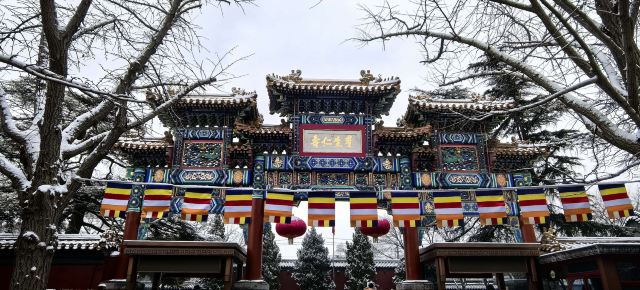 雍和宫旅行图片 5