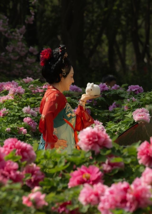 中国国花园旅行图片 2