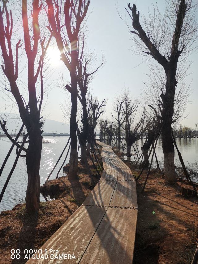 黄龙潭公园旅行图片 2