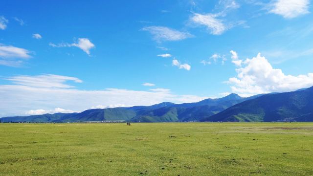 纳帕海旅游景区香巴拉牧场景点旅行图片 5