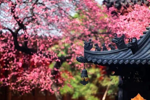 湖州铁佛寺旅行图片 1