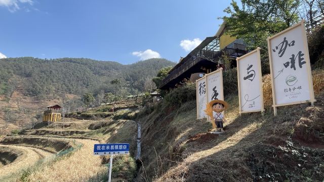 新山梯田旅行图片 4