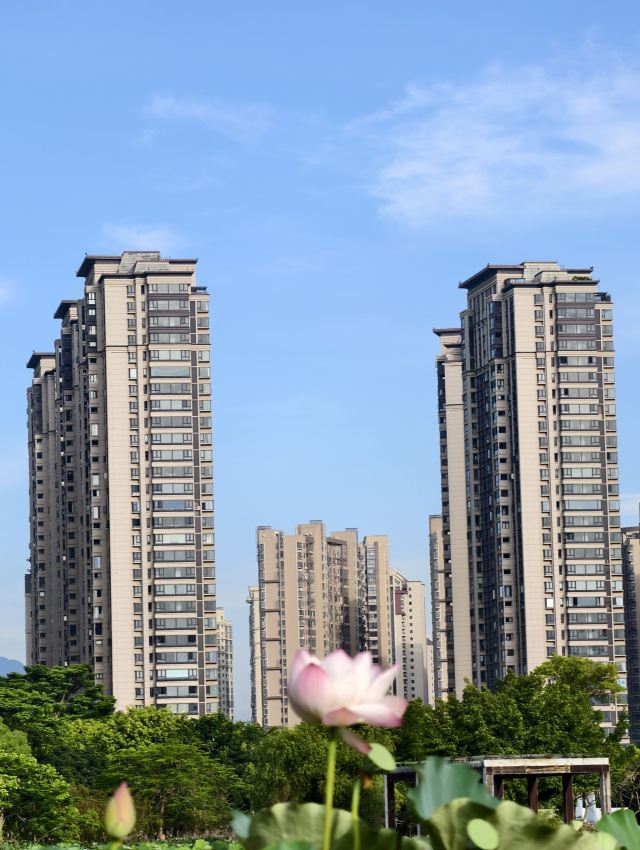碧湖生态公园旅行图片 2