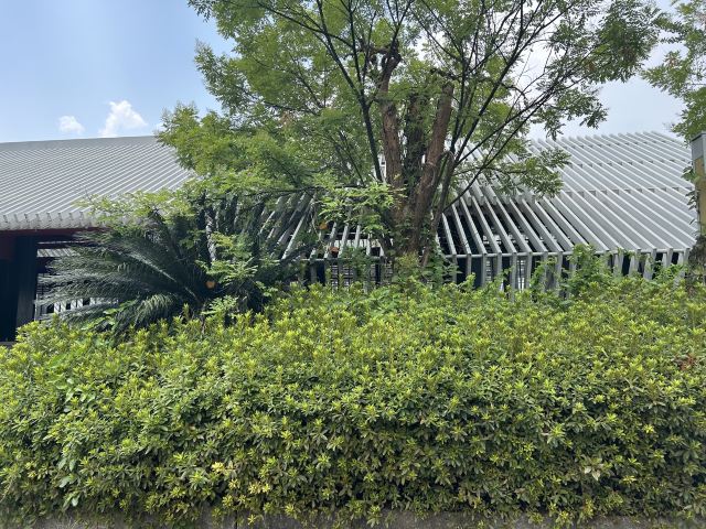 湘府文化公园旅行图片 4