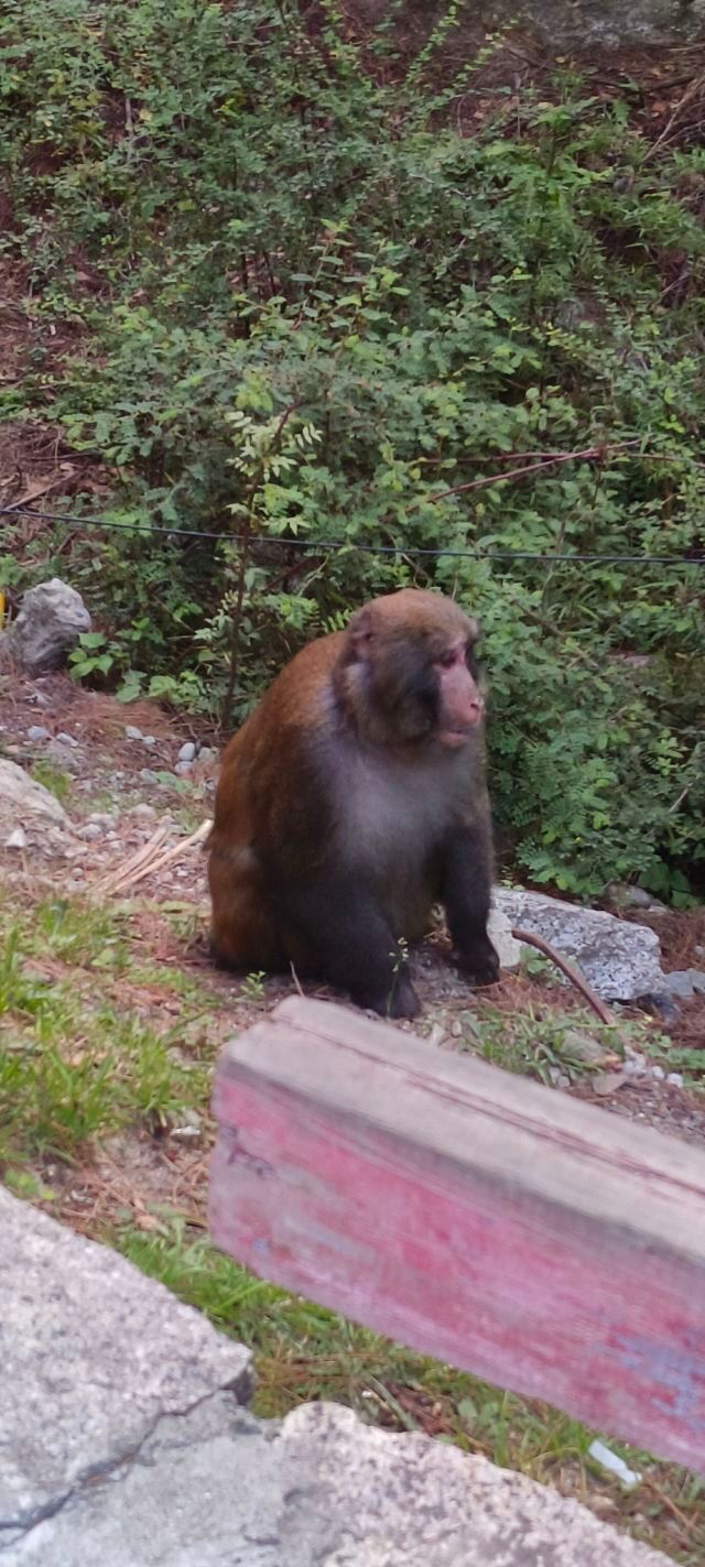 卡定沟景区旅行图片 2