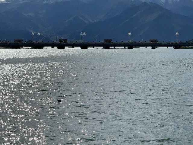 拉萨滨河公园旅行图片 7