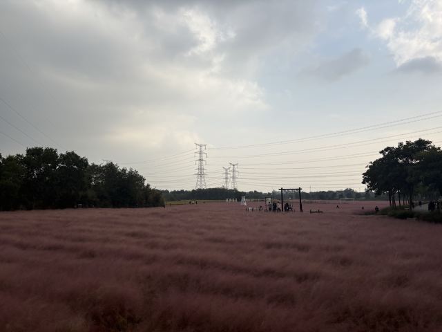 郭兴庄园旅行图片 6