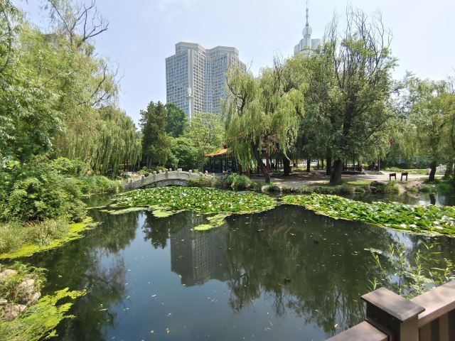 劳动公园旅行图片 9
