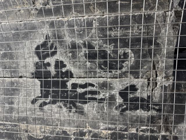 打虎亭汉墓旅行图片 5