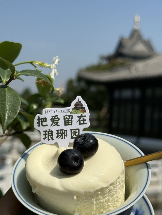 琅琊园旅行图片 4