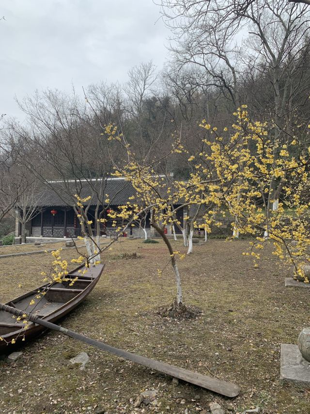 南山风景区旅行图片 1