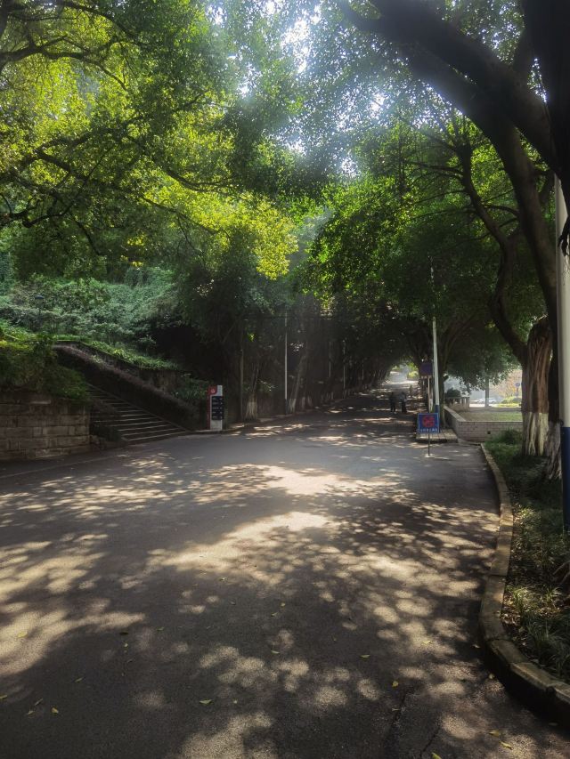 重庆朝天门广场旅行图片 7