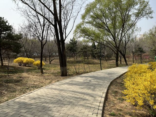 老山城市休闲公园旅行图片 3