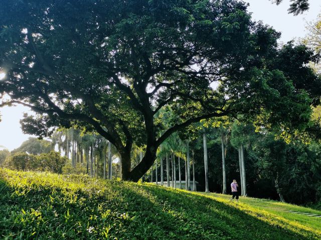 中山公园旅行图片 6